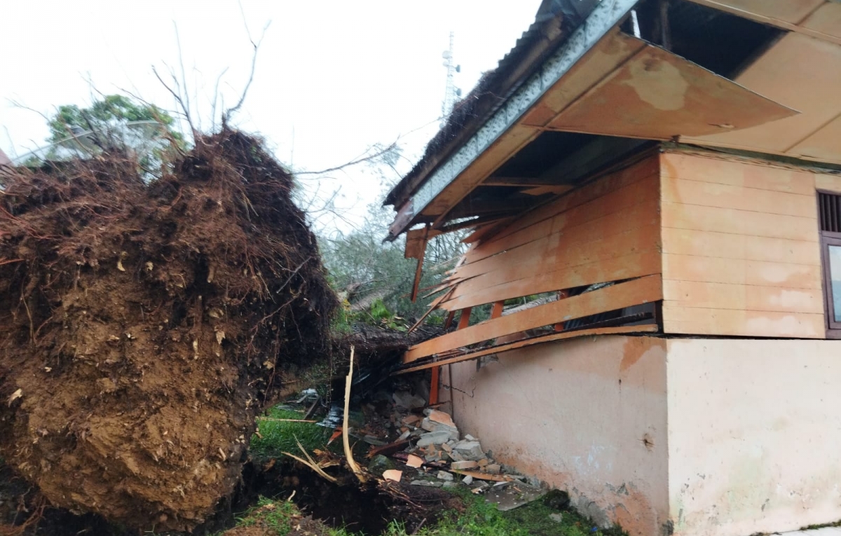 Sekolah PAUD Pertiwi Tertimpa Pohon Tumbang