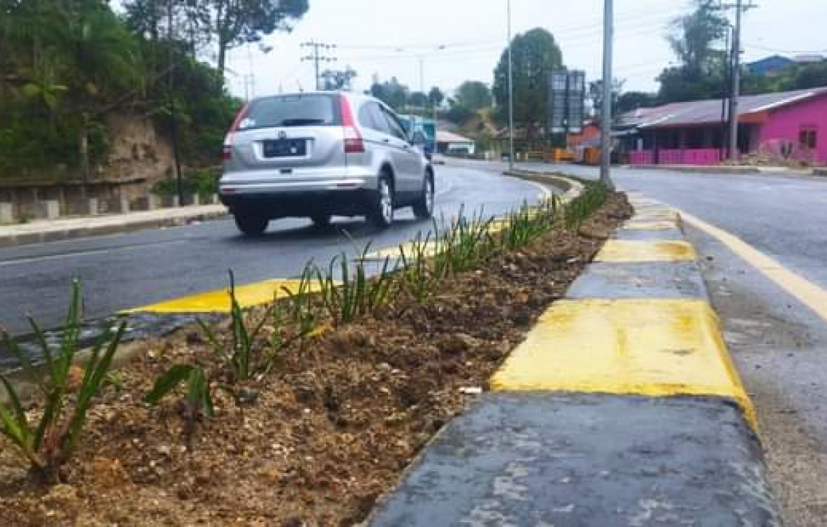 Dinas Lingkugan Hidup Dairi Tanam Bunga di Marka Jalan Pahlawan Sidikalang