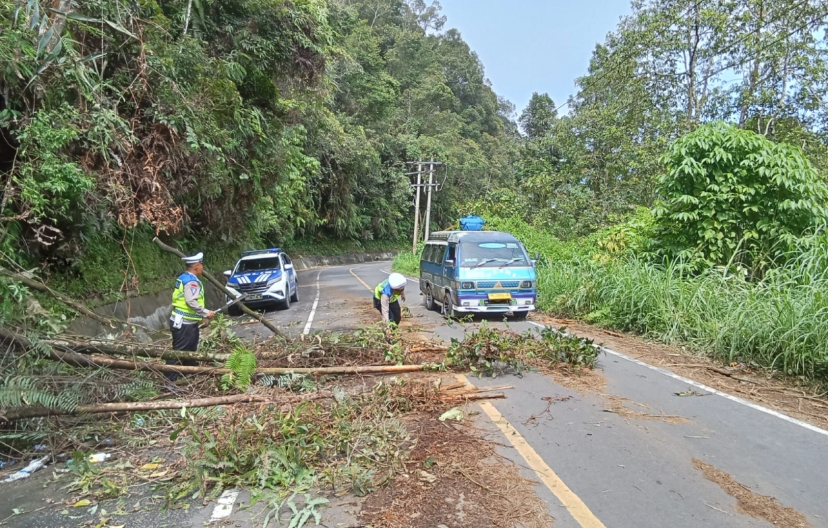 Sat Lantas Polres Pakpak Bharat Bersihkan Pohon Tumbang di Jalan Sidikalang - Subulussalam